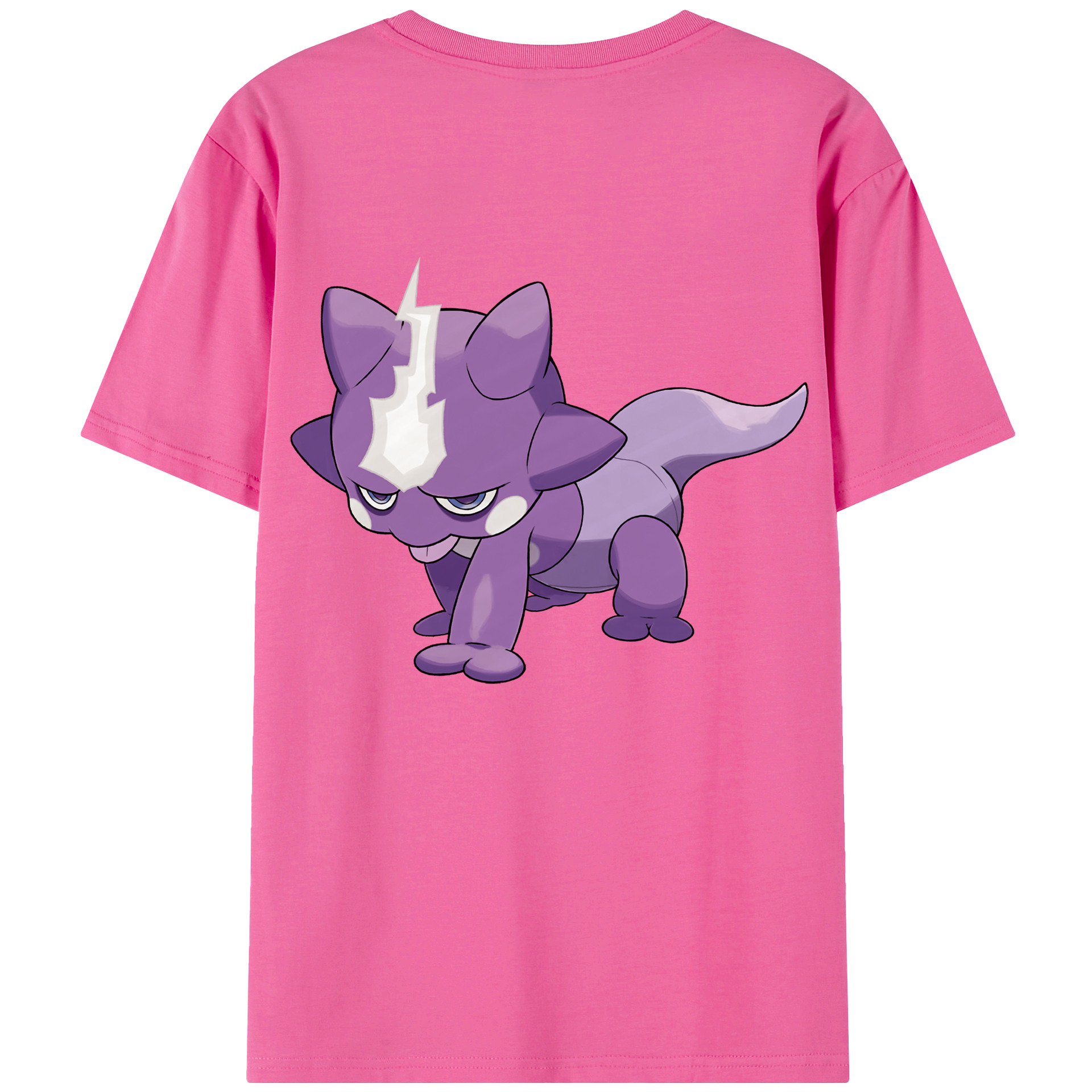 （画像用） ポケットモンスター Pokémon レディース半袖Tシャツ(バックプリント)